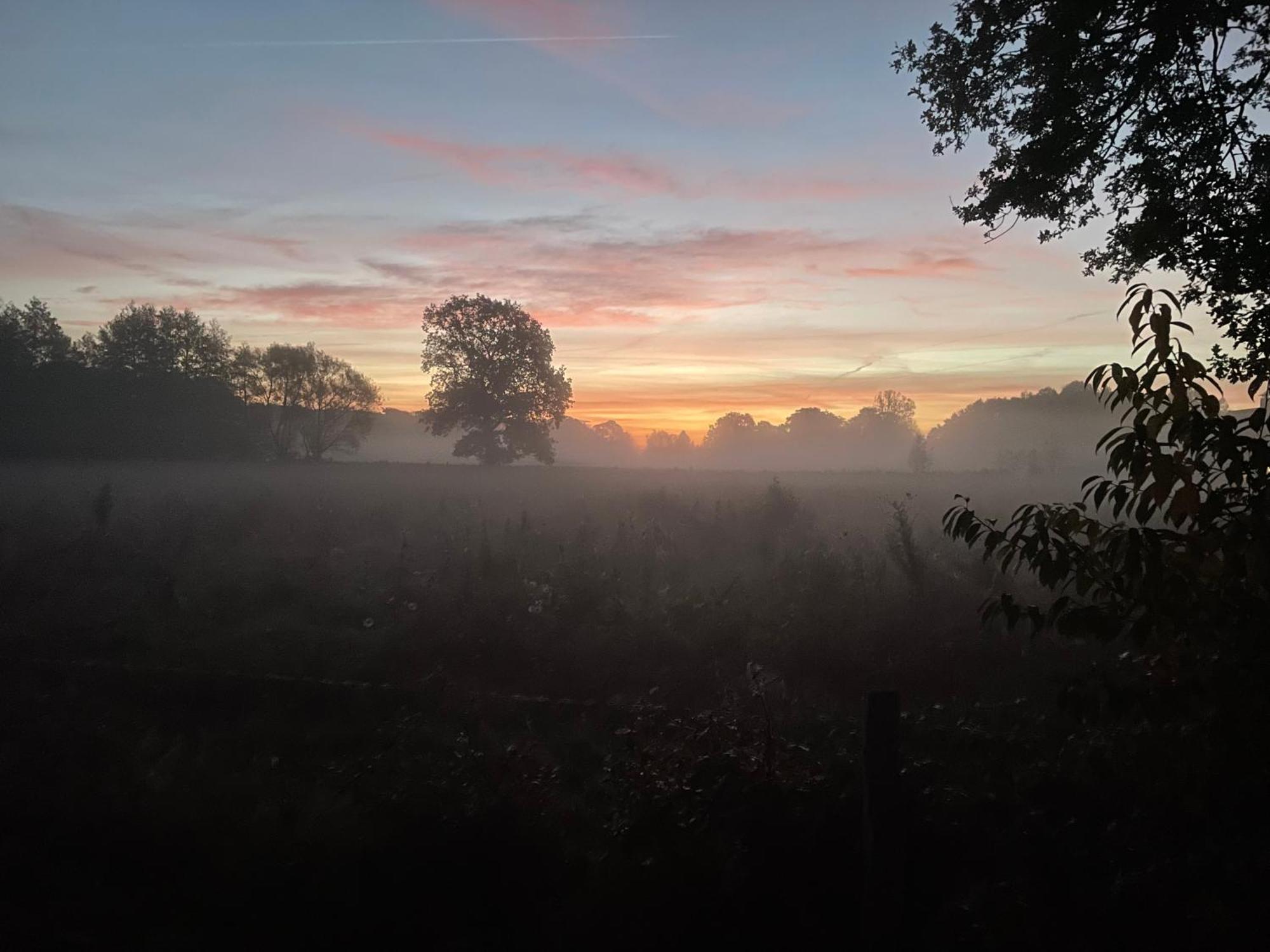 Bed and breakfast De Postelhoek