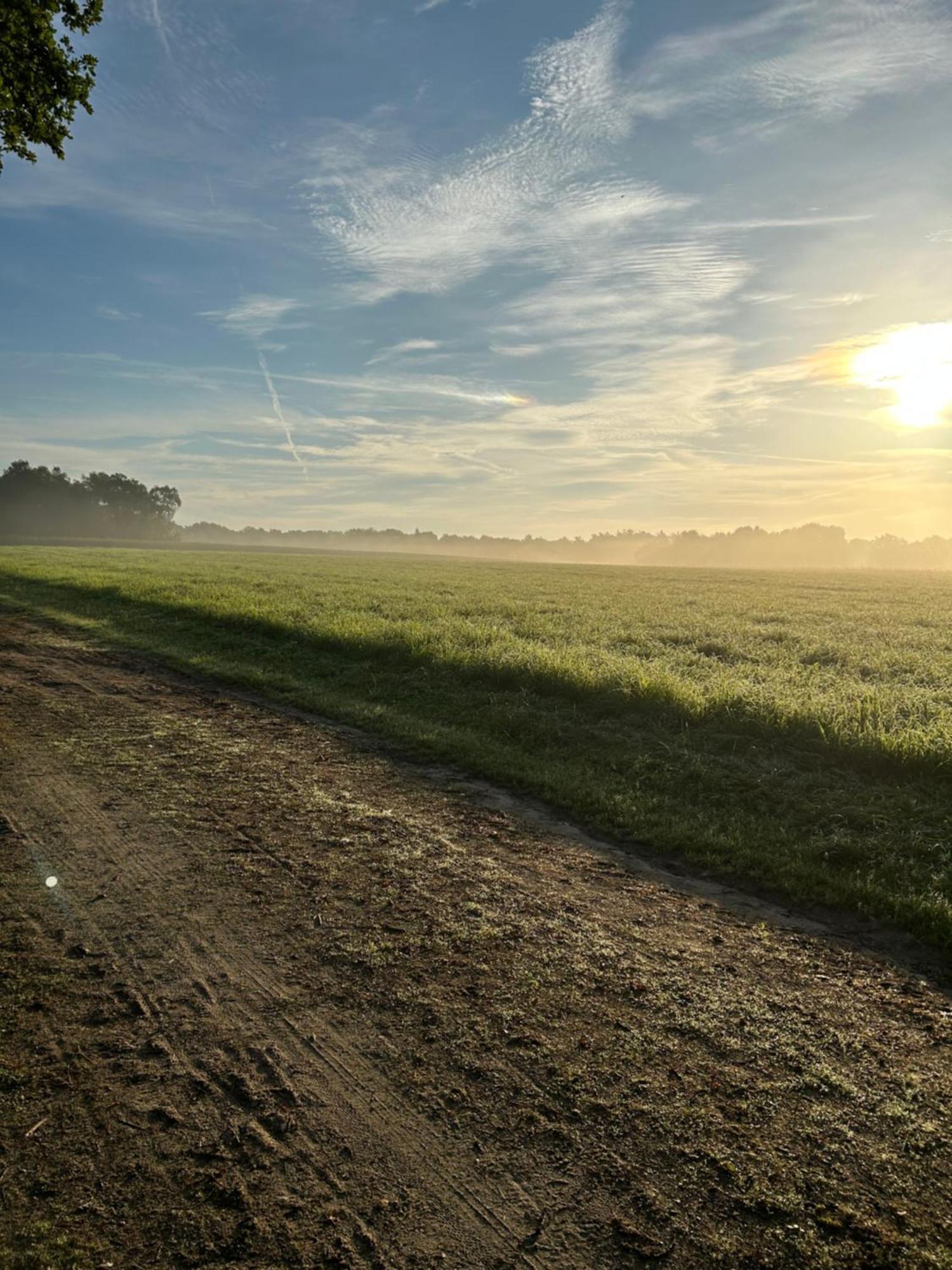 De Postelhoek 3*