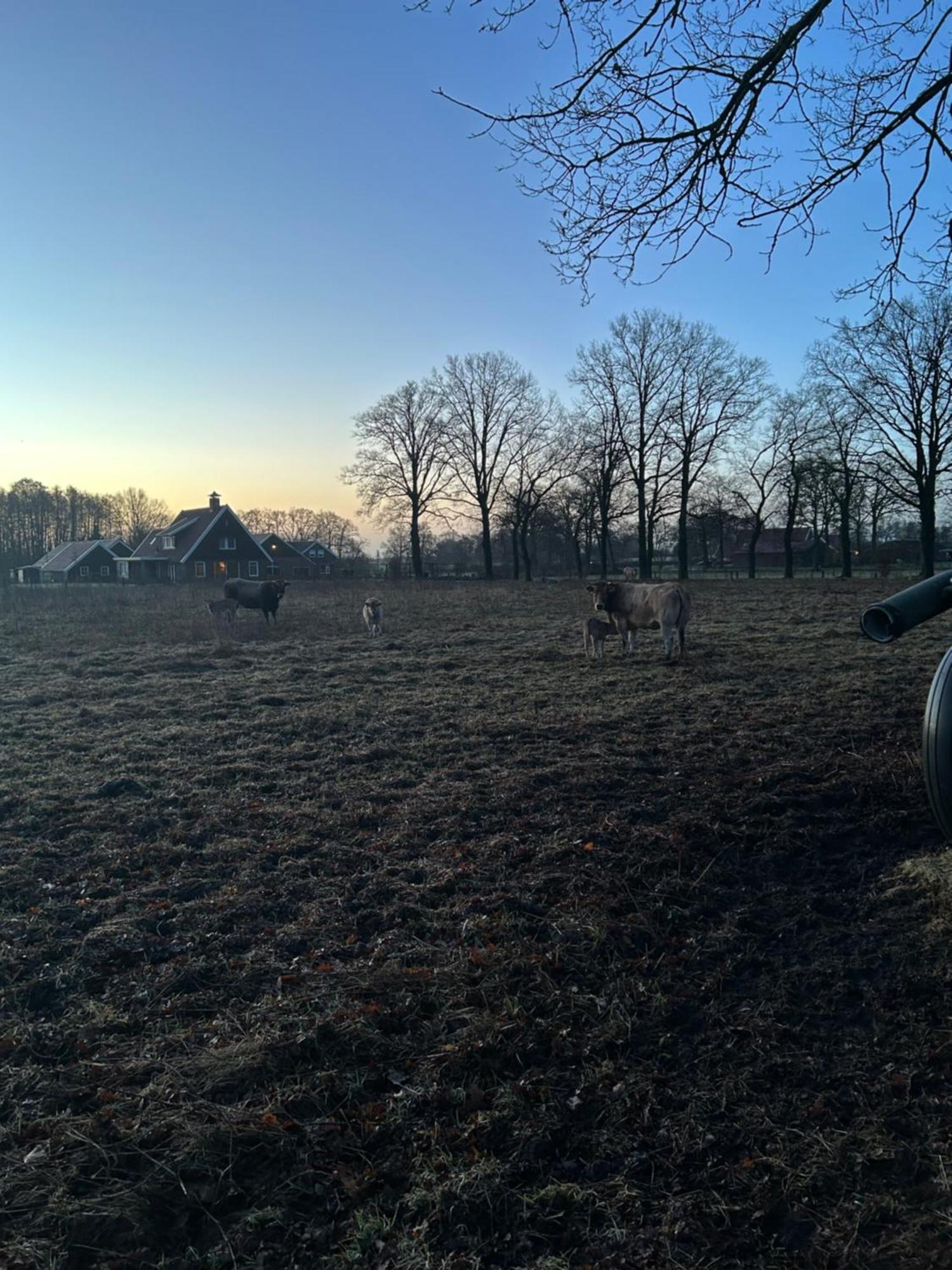 De Postelhoek Bed and breakfast 3*