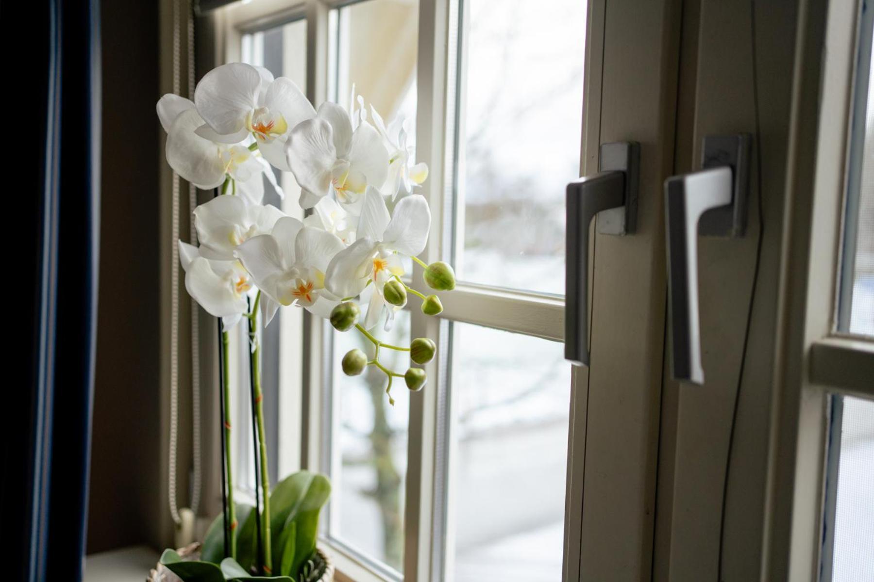 De Postelhoek Bed and breakfast 3*